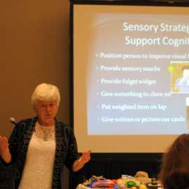 sensory connection program training